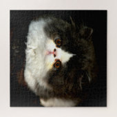 Puzzle Chaton mignon noir et blanc Kitten Kitten (Horizontal)
