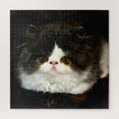 Puzzle Chaton mignon noir et blanc Kitten Kitten (Vertical)