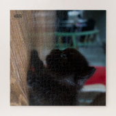 Puzzle Chaton noir de près (Horizontal)