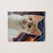 Puzzle Chaton orange (Horizontal)