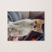 Puzzle Chaton roux (Horizontal)