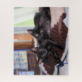 Puzzle Chatons (Vertical)