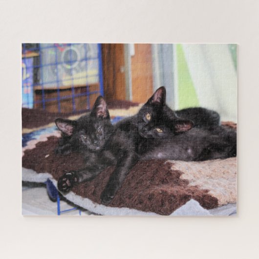Puzzle Chatons (Horizontal)