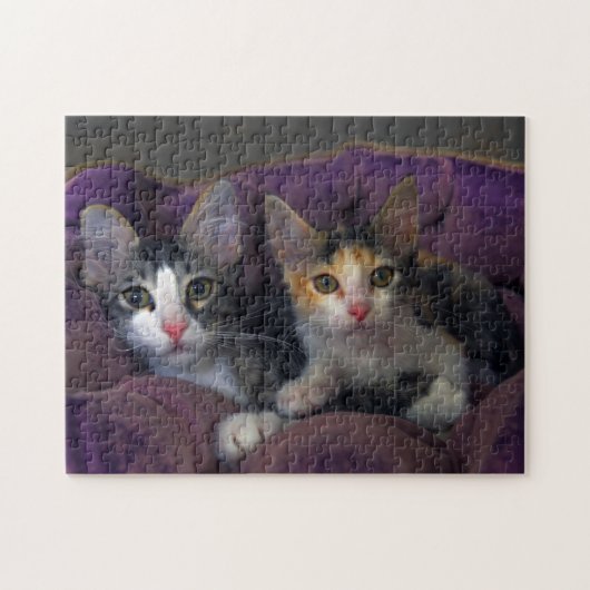 Puzzle Chatons dans un lit violet (Horizontal)