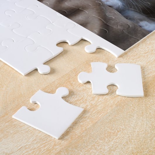 Puzzle Chatons de Ragdoll (Côté)