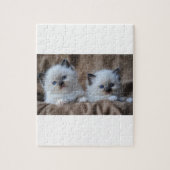 Puzzle Chatons de Ragdoll (Vertical)