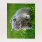Puzzle - Chatons en train de jouer (Vertical)