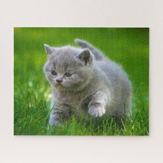 Puzzle - Chatons en train de jouer (Horizontal)