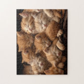 Puzzle chatons orange dormant dans une pile (Vertical)