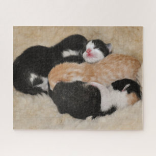 Puzzle Chatons pour bébés nouveau-nés