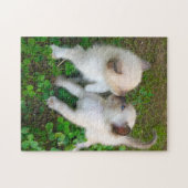 Puzzle chatons qui s'embrassent (Horizontal)