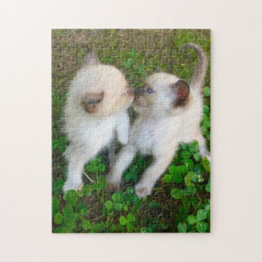 Puzzle chatons qui s'embrassent (Vertical)