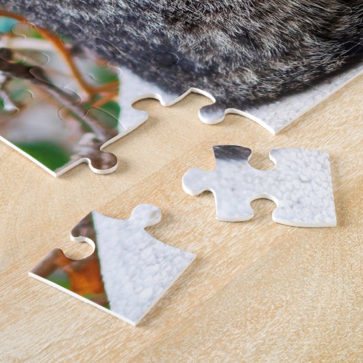 Puzzle chats (Côté)