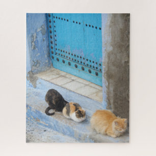 Puzzle Chats, Chefchaouen, Maroc