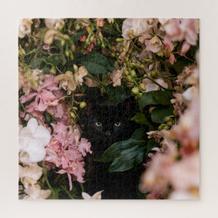 Puzzle Chats de Bloom à Minuit