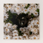 Puzzle Chats de Bloom à Minuit (Horizontal)