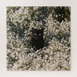 Puzzle Chats de Bloom à Minuit