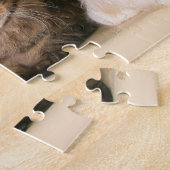 Puzzle Chats du Maine Coon (Côté)