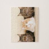 Puzzle Chats du Maine Coon (Vertical)