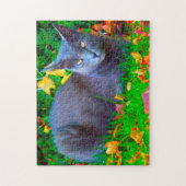 Puzzle Chats Korat. (Vertical)