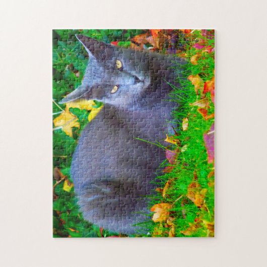 Puzzle Chats Korat. (Vertical)