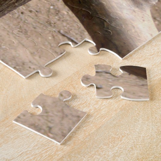 Puzzle Chats Lynx (Côté)