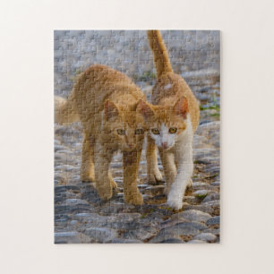 Puzzle Chats mignons Chatons Chatons Amis Chemin de pierr
