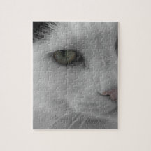 Chats noirs et blancs