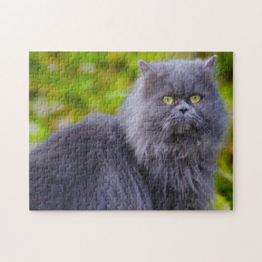 Puzzle Chats Persans. (Horizontal)