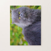 Puzzle Chats perses. (Vertical)