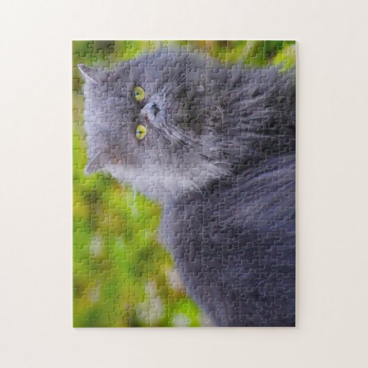 Puzzle Chats perses. (Vertical)