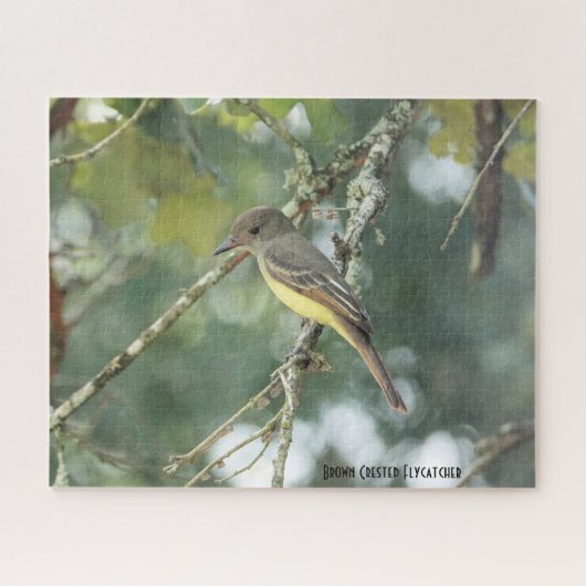 Puzzle Chaudron Brown, amoureux des oiseaux (Horizontal)