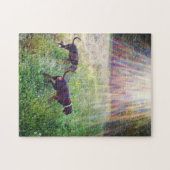 Puzzle Chaussures Au Soleil Du Soir (Horizontal)