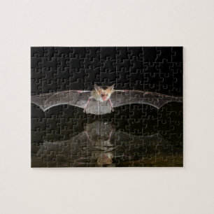 Puzzle Chauve-souris buvant en vol, Arizona