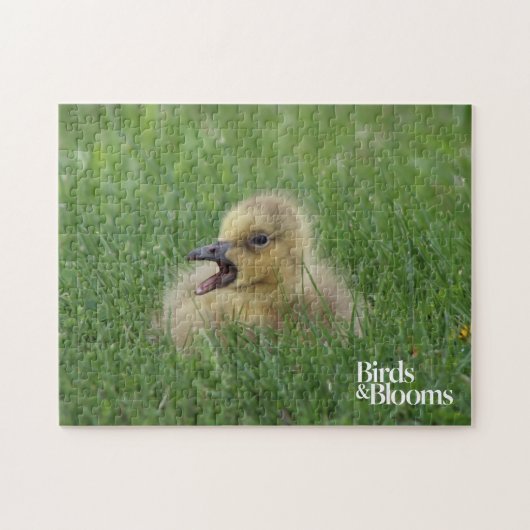 Puzzle Chauve-souris canadienne (Horizontal)