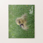 Puzzle Chauve-souris canadienne (Vertical)