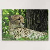 Puzzle Cheetah (Horizontal)