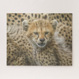 Puzzle Cheetah