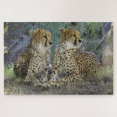 Puzzle Cheetah (Horizontal)