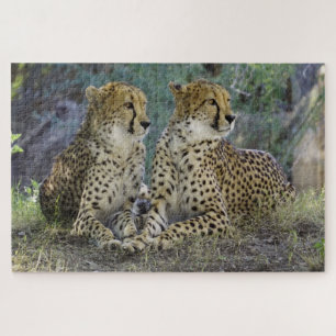Puzzle Cheetah