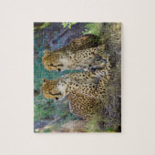 Puzzle cheetah Big Cats. (Vertical)