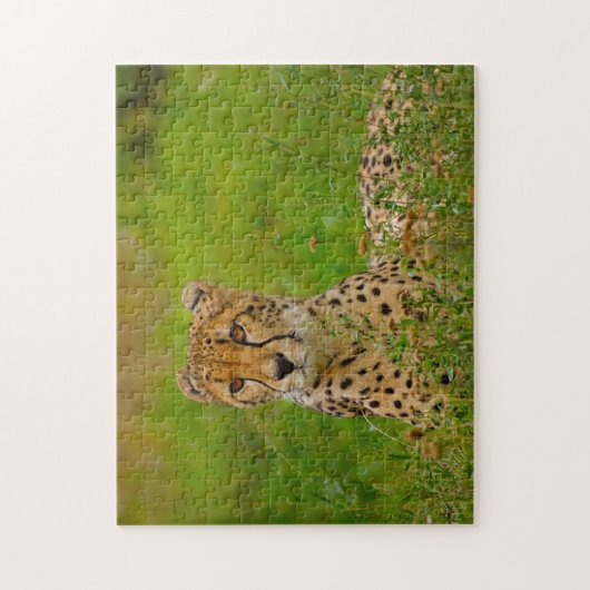 Puzzle Cheetah Big Cats. (Vertical)