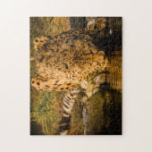 Puzzle Cheetah Big Cats. (Vertical)