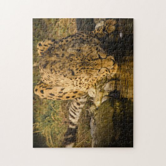 Puzzle Cheetah Big Cats. (Vertical)