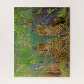 Puzzle Cheetah Big Cats. (Vertical)