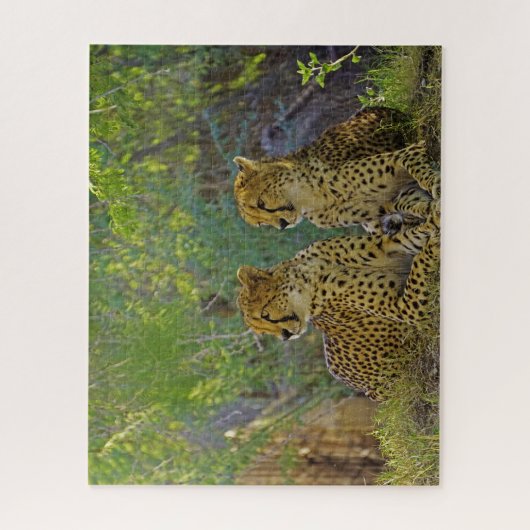 Puzzle Cheetah Big Cats. (Vertical)