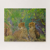 Puzzle Cheetah Big Cats. (Horizontal)