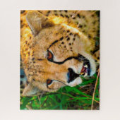Puzzle Cheetah Big Cats. (Vertical)