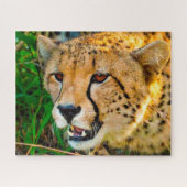 Puzzle Cheetah Big Cats. (Horizontal)