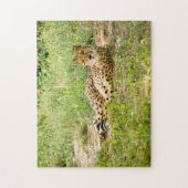 Puzzle Cheetah Big Cats. (Vertical)